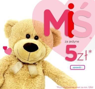 Miś za 5 zł